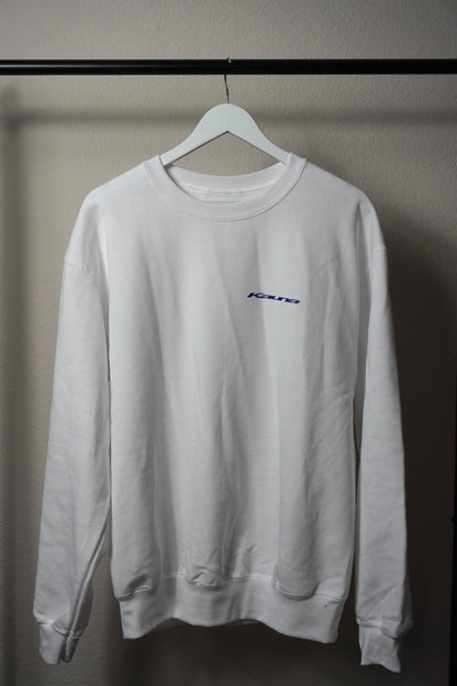 (New) Sweatshirt "The world"